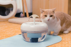 น้ำพุแมว PAWOOF WATER PURIFIER FOUNTAIN 1.5 ลิตร - Keawraksat